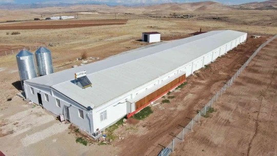 'Hayal bile edemezdik' diyen muhtar, TKDK'dan aldığı destek ile köyünü tavuk ve besi çiftliğine döndürdü