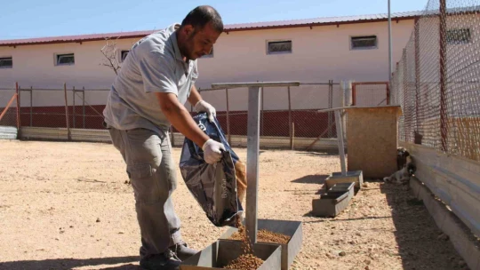 'Hayvanların açlıktan birbirini yediği' iddiası mahkemeden döndü