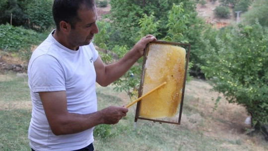 2 çocuk annesi 'Ben yaparım dedi' ve yaptı, devletten aldığı destek ile arıcı oldu
