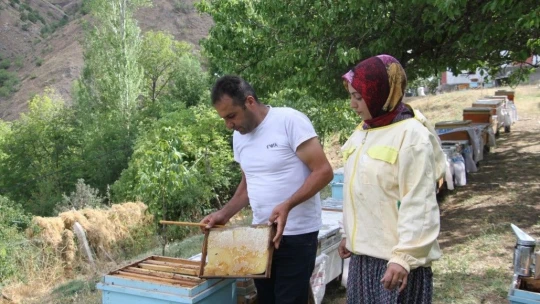 2 çocuk annesi 'Ben yaparım dedi' ve yaptı, devletten aldığı destek ile arıcı oldu
