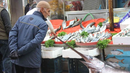 2 metrelik kılıç balığı ilgi odağı oldu
