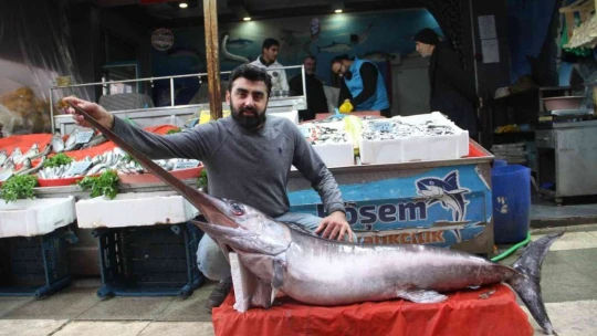 2 metrelik kılıç balığı ilgi odağı oldu