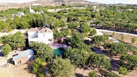 26 yıl önce hobi olarak diktiği fıstık ağaçları gelir kaynağı oldu