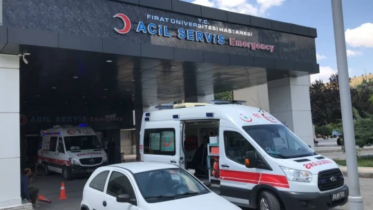 Kene, 3 Yaşındaki Çocuğu Kafasından Isırdı