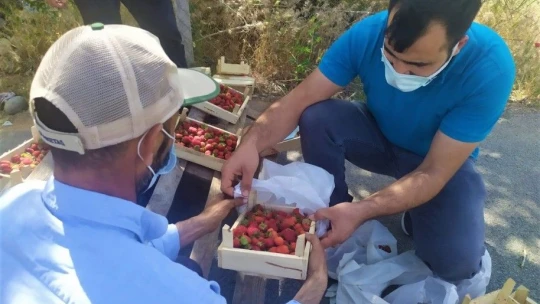 48 yıldır meşhur 'Kuyulu' çileğini yol kenarında satıyor