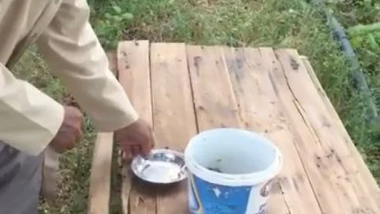 76 yaşındaki Akif Amca, yavru kargayı bebek gibi besliyor
