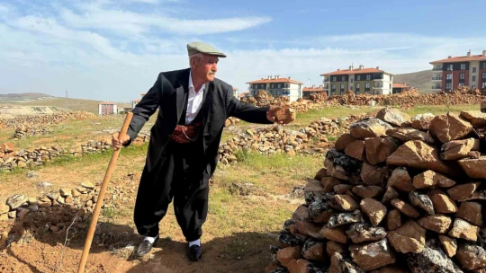 77'lik İsmail dede, 300 ton taş topladığı dağlık araziyi ağaçlarla kapladı