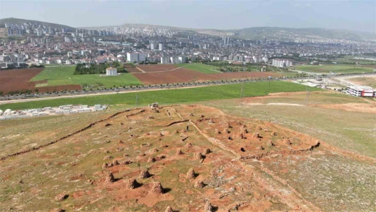 77'lik İsmail dede, 300 ton taş topladığı dağlık araziyi ağaçlarla kapladı