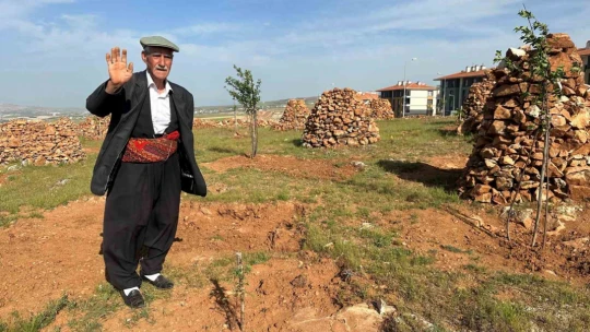 77'lik İsmail dede, 300 ton taş topladığı dağlık araziyi ağaçlarla kapladı