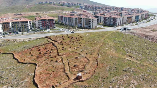 77'lik İsmail dede, 300 ton taş topladığı dağlık araziyi ağaçlarla kapladı