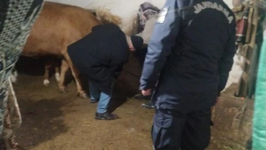 Sivrice'de Anlamlı Dayanışma