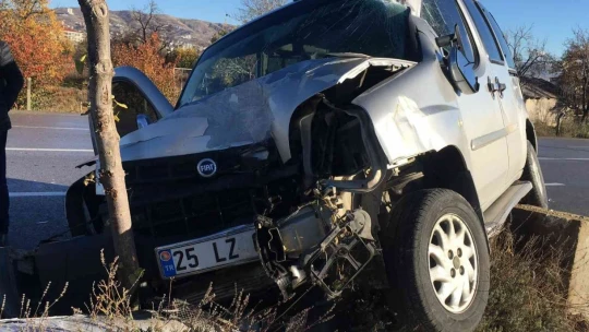 Ağaca ve aydınlatma direğine çarpan hafif ticari araç asılı kaldı: 1 yaralı