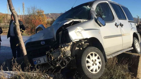 Ağaca ve aydınlatma direğine çarpan hafif ticari araç asılı kaldı: 1 yaralı