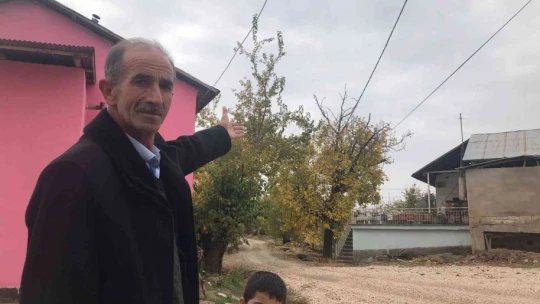 Ağaçların arasında kalan elektrik telleri tehlike saçıyor, vatandaşlar çözüm bekliyor