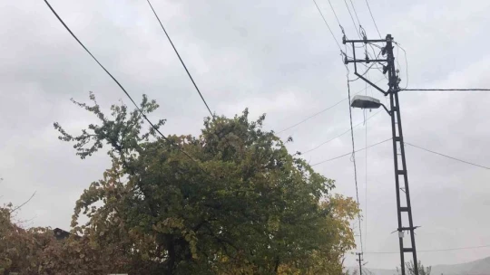 Ağaçların arasında kalan elektrik telleri tehlike saçıyor, vatandaşlar çözüm bekliyor