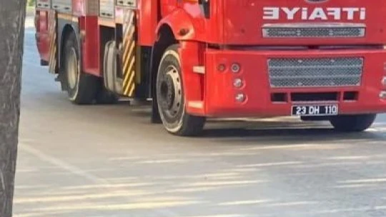 Ağaçtan düşen yavru kargayı yuvasına bıraktılar