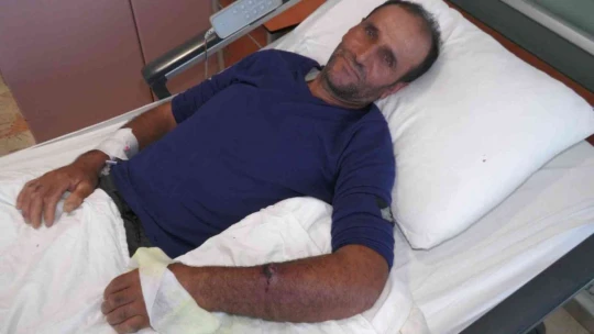 Aldığı etten 'Şarbon' bulaştı, kasap dükkanı mühürlendi