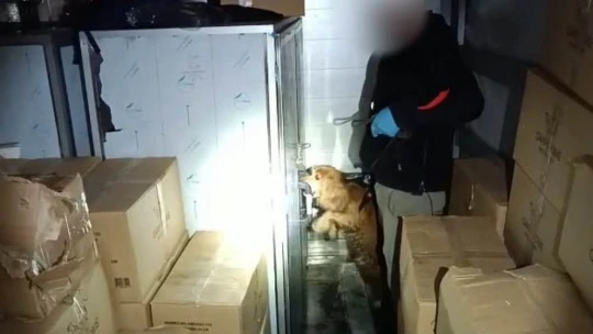 Alex kokladı, tırın dorsesinden 17 kilo 650 gram uyuşturucu çıktı