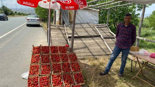Ana yolda araçları durduran lezzet: Kuyulu çileği görücüye çıktı