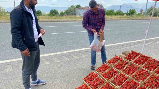 Ana yolda araçları durduran lezzet: Kuyulu çileği görücüye çıktı