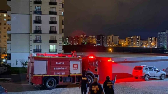 Aracın motoruna giren yılan, ekipler tarafından çıkartıldı