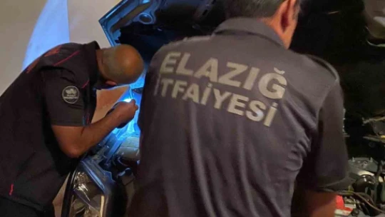 Aracın motoruna giren yılan, ekipler tarafından çıkartıldı