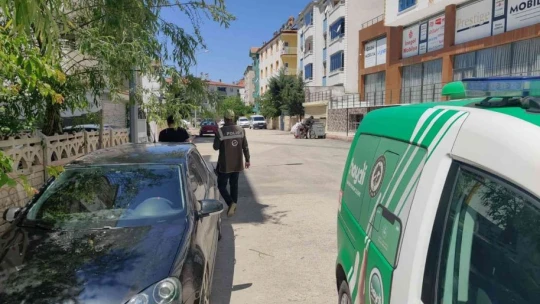 Aracıyla ezdiği kediyi ölüme terk eden şahsa ceza