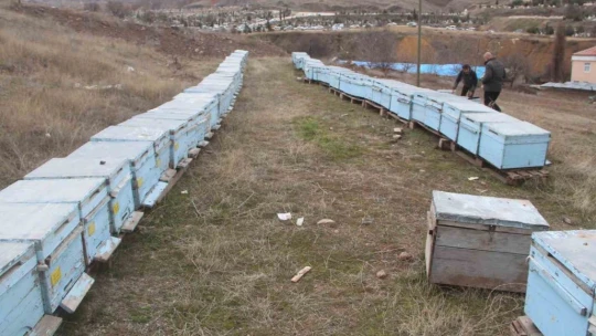 Arıcıların tek umudu bahar aylarının yağışlı geçmesi