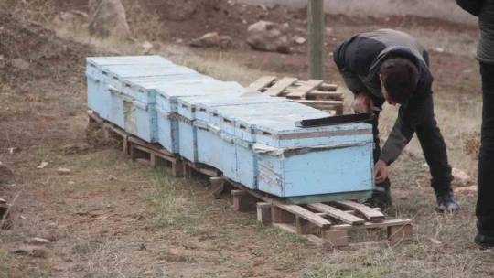 Arıcıların tek umudu bahar aylarının yağışlı geçmesi