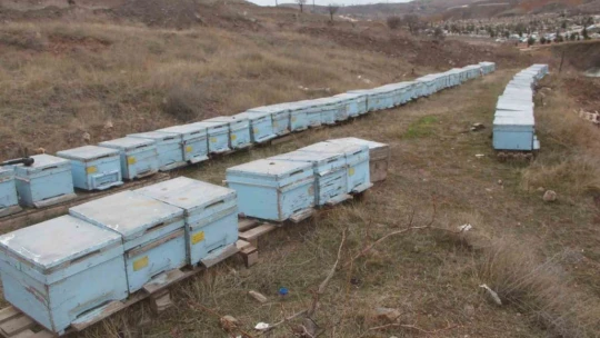 Arıcıların tek umudu bahar aylarının yağışlı geçmesi