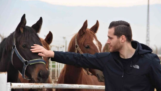At yarışı kariyerinde 'Bold Pilot' bile ona yanaşamadı