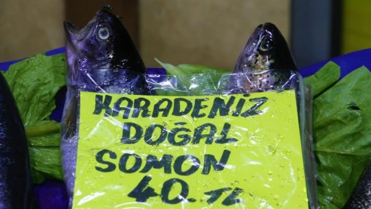 Av sezonu açıldı, yarımada konumundaki Elazığ'da balıklar tezgahlardaki yerini aldı