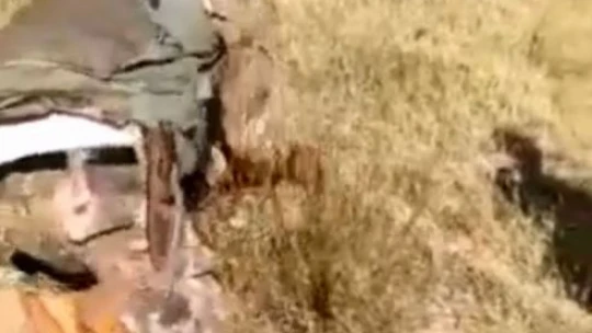 Avcılar elleriyle yakaladığı tavşanı geri doğaya saldı