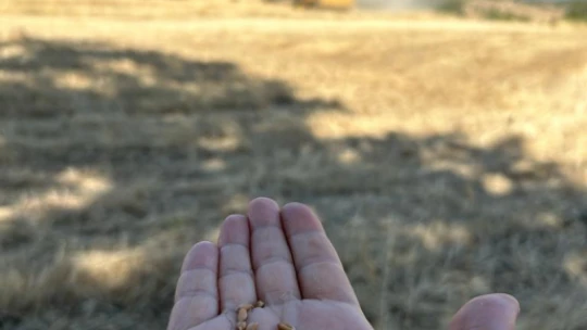 Üniversite Mezunu Finans Müdürü Memleketinde Çiftçilik Yaptı , Çevresindekilere Örnek Oldu