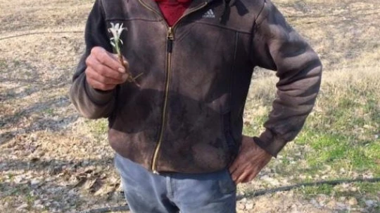 Baharın müjdecisi Nevruz Çiçeği Şubat ayında açtı