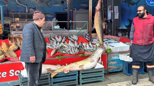 Balıkçı tezgahlarında çeşit arttı, fiyat düştü