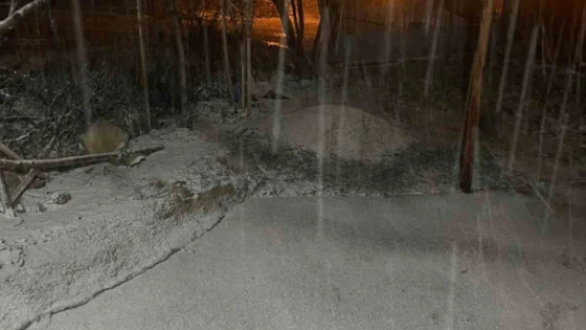 Baskil ilçesinde kar yağışı etkili oldu
