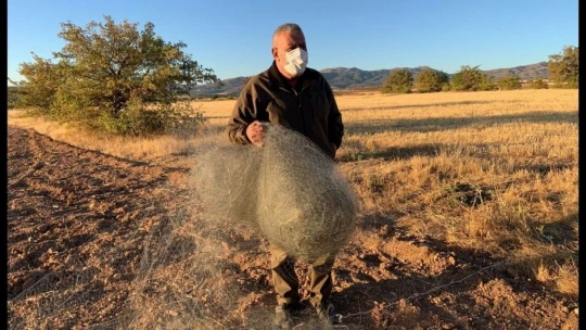 Bıldırcın yakalamak için 100 metrelik kaçak ağ çektiler