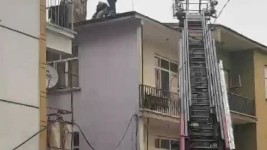 Binanın çatısında mahsur kalan köpeği, itfaiye kurtardı