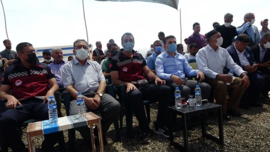 Bingöl'de 139 üreticiye 516 adet damızlık koç ve teke dağıtıldı