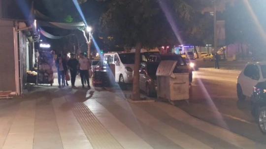 Bingöl'deki deprem Elazığ'da hissedildi