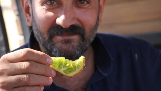 Bölgede ilki başardı, tropik Afrika meyvesi olan Kivano'yu yetiştirdi, bir kökte 50 adet ürün elde etti
