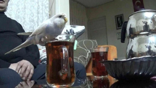 Bu çayın tiryakisi bir başka