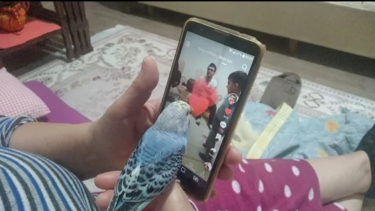 Bu kuş başka kuş