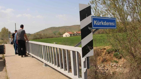 Bunlar İnci Kefali değil Siraz, akıntıya karşı göç başladı