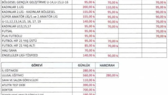 TFF'den Hakemlere Zam