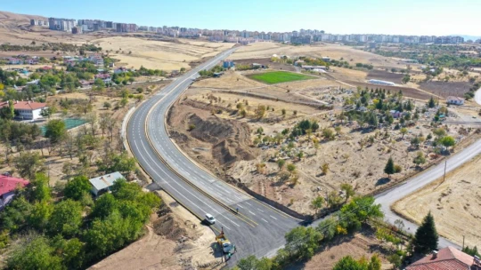 Elazığ'da bulunan 115 yıllık 'Dua çınarı' tescillendi