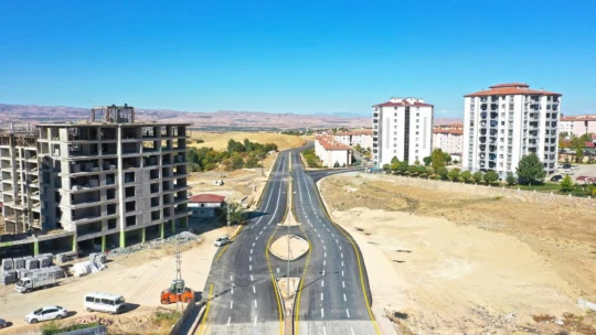Elazığ'da bulunan 115 yıllık 'Dua çınarı' tescillendi