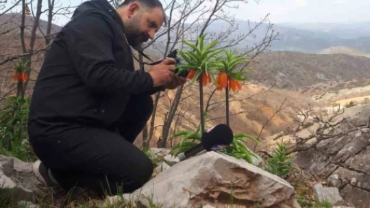 Cebinizde 244 bin lira olmadan bu çiçeği kopartmayın