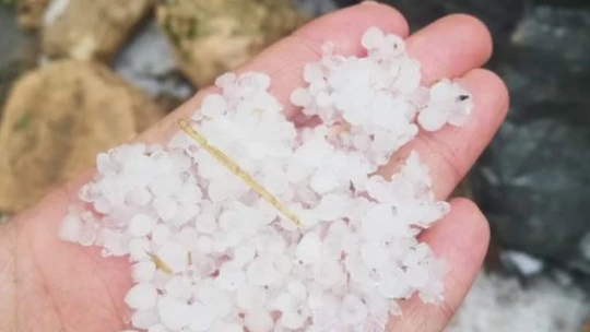 Çemişgezek'te yağmur ve dolu etkili oldu